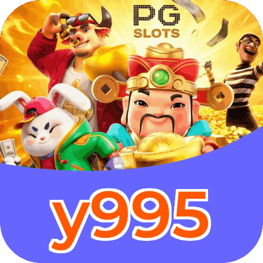 Interface y995